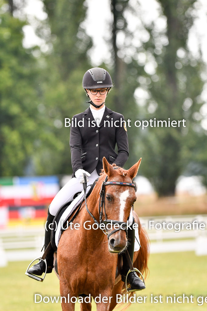 Goldene Schärpe Ponys in Hohenberg Krusemark 2024 | 12072024 Dressur _0177