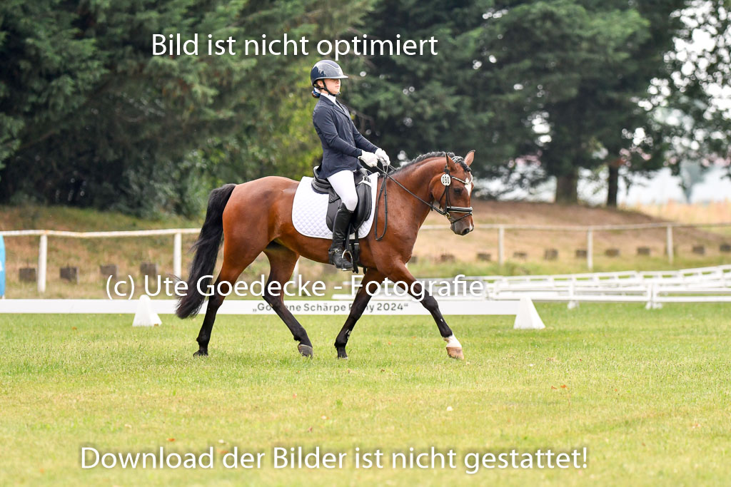 Goldene Schärpe Ponys in Hohenberg Krusemark 2024 | 12072024 Dressur _0178