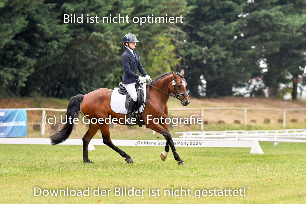 Goldene Schärpe Ponys in Hohenberg Krusemark 2024 | 12072024 Dressur _0181