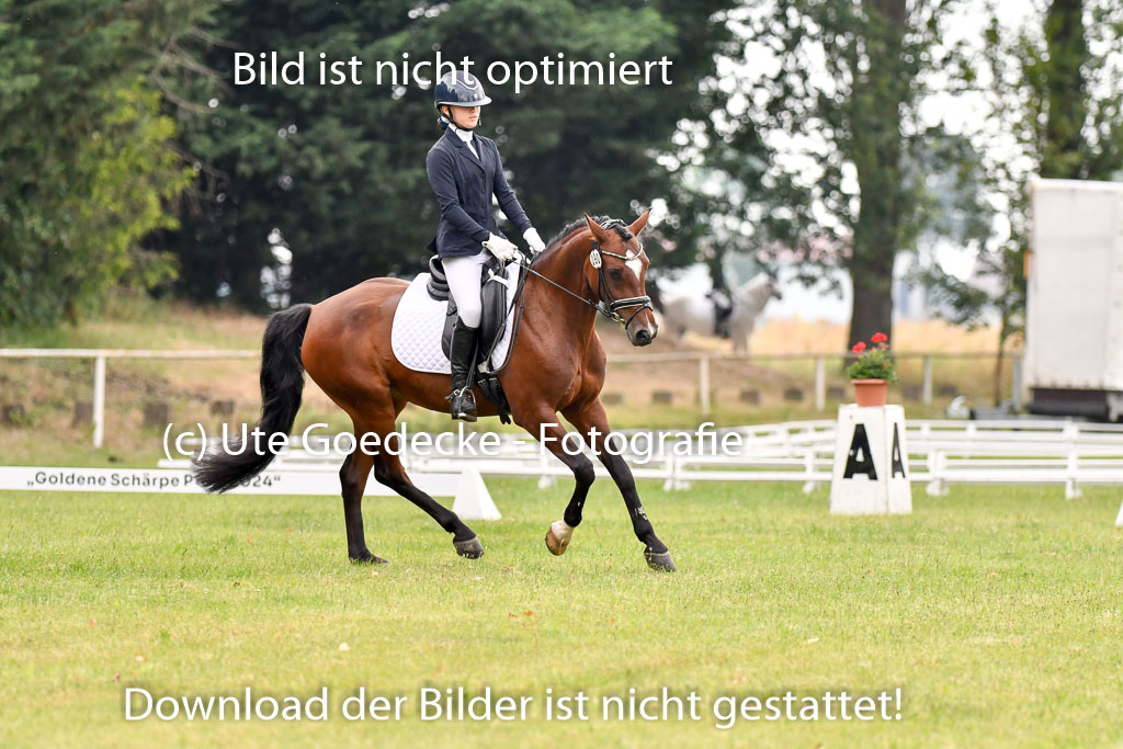 Goldene Schärpe Ponys in Hohenberg Krusemark 2024 | 12072024 Dressur _0182