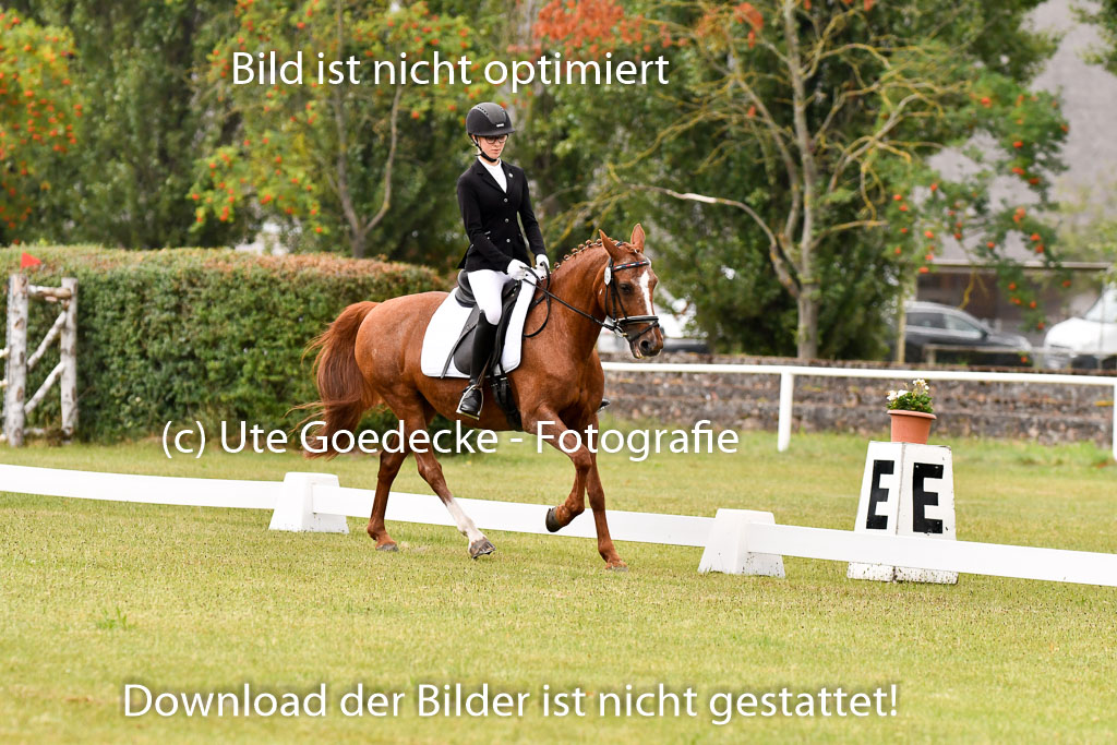 Goldene Schärpe Ponys in Hohenberg Krusemark 2024 | 12072024 Dressur _0186