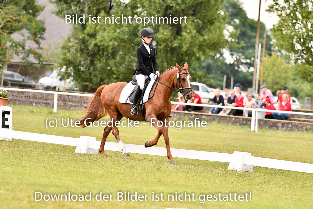 Goldene Schärpe Ponys in Hohenberg Krusemark 2024 | 12072024 Dressur _0189