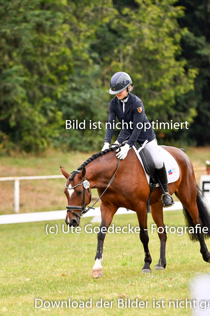 Goldene Schärpe Ponys in Hohenberg Krusemark 2024 | 12072024 Dressur _0190