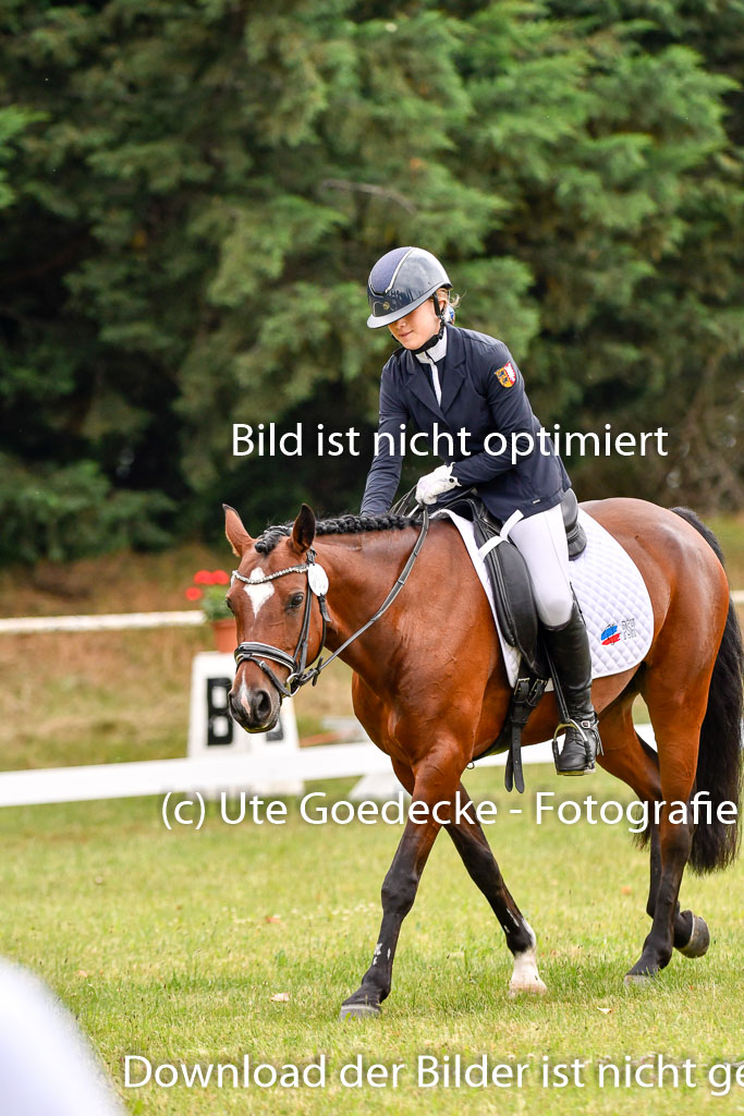 Goldene Schärpe Ponys in Hohenberg Krusemark 2024 | 12072024 Dressur _0191