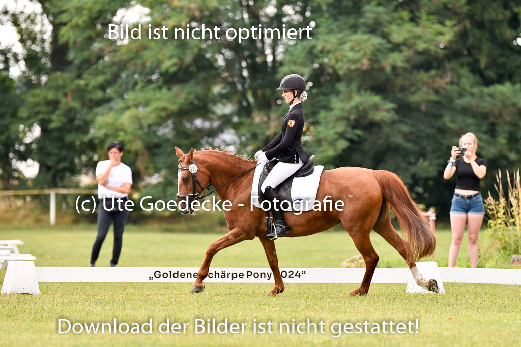Goldene Schärpe Ponys in Hohenberg Krusemark 2024 | 12072024 Dressur _0192