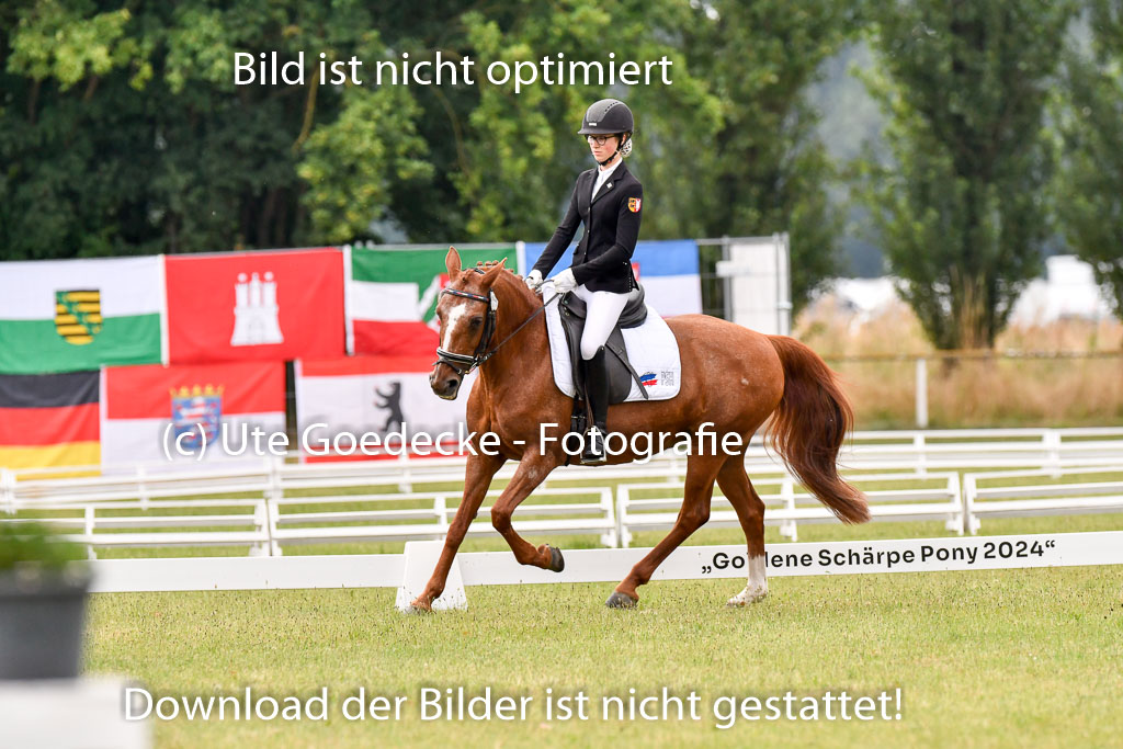 Goldene Schärpe Ponys in Hohenberg Krusemark 2024 | 12072024 Dressur _0194