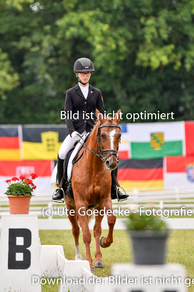 Goldene Schärpe Ponys in Hohenberg Krusemark 2024 | 12072024 Dressur _0195