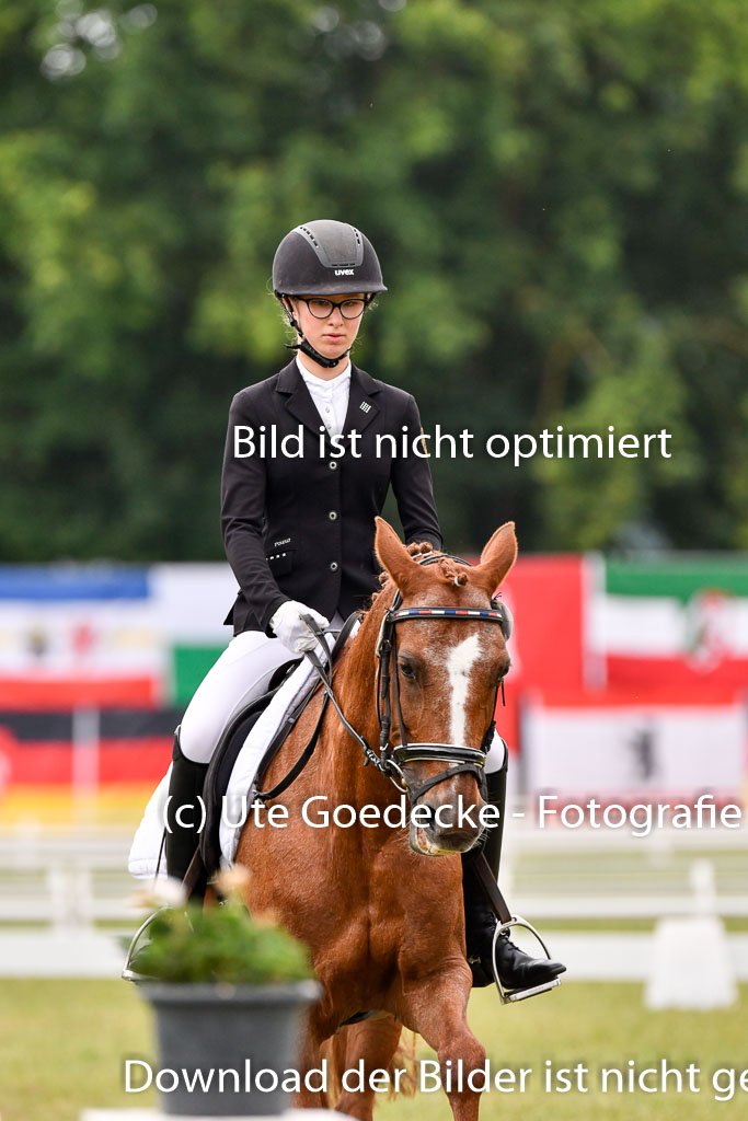 Goldene Schärpe Ponys in Hohenberg Krusemark 2024 | 12072024 Dressur _0196