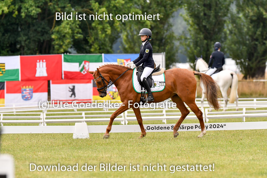 Goldene Schärpe Ponys in Hohenberg Krusemark 2024 | 12072024 Dressur _0199
