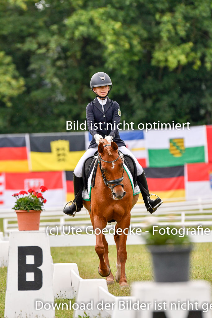 Goldene Schärpe Ponys in Hohenberg Krusemark 2024 | 12072024 Dressur _0201 