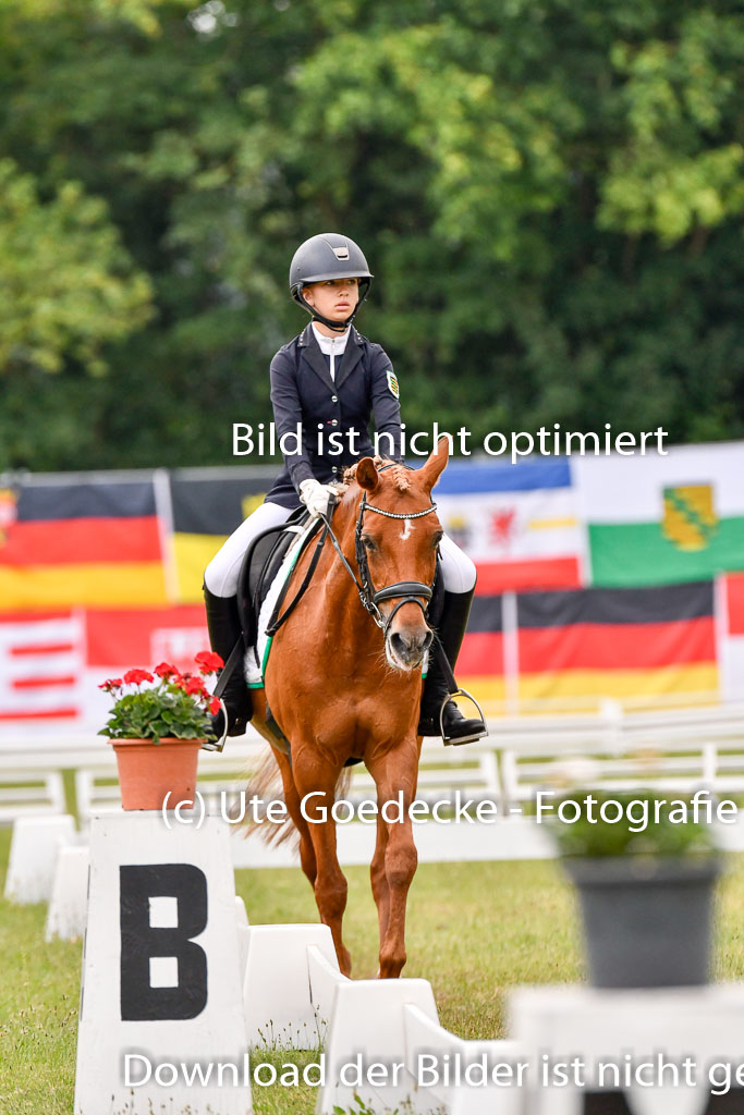 Goldene Schärpe Ponys in Hohenberg Krusemark 2024 | 12072024 Dressur _0206 