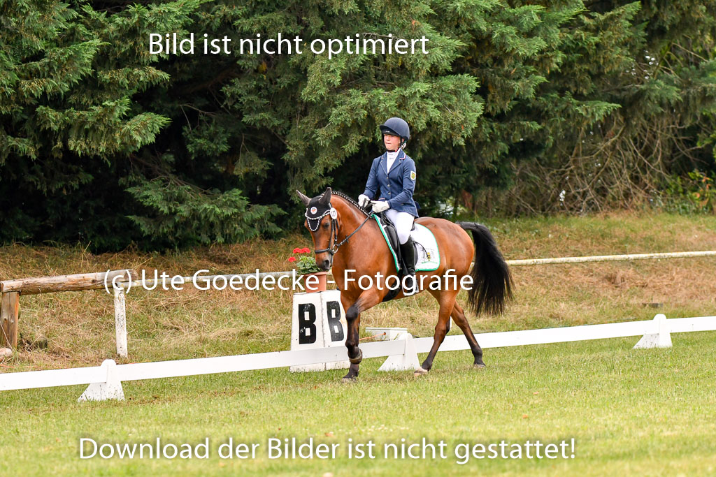 Goldene Schärpe Ponys in Hohenberg Krusemark 2024 | 12072024 Dressur _0207
