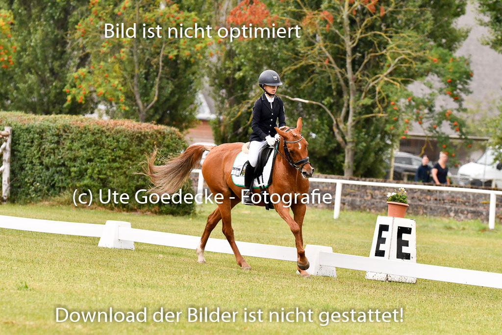 Goldene Schärpe Ponys in Hohenberg Krusemark 2024 | 12072024 Dressur _0210 