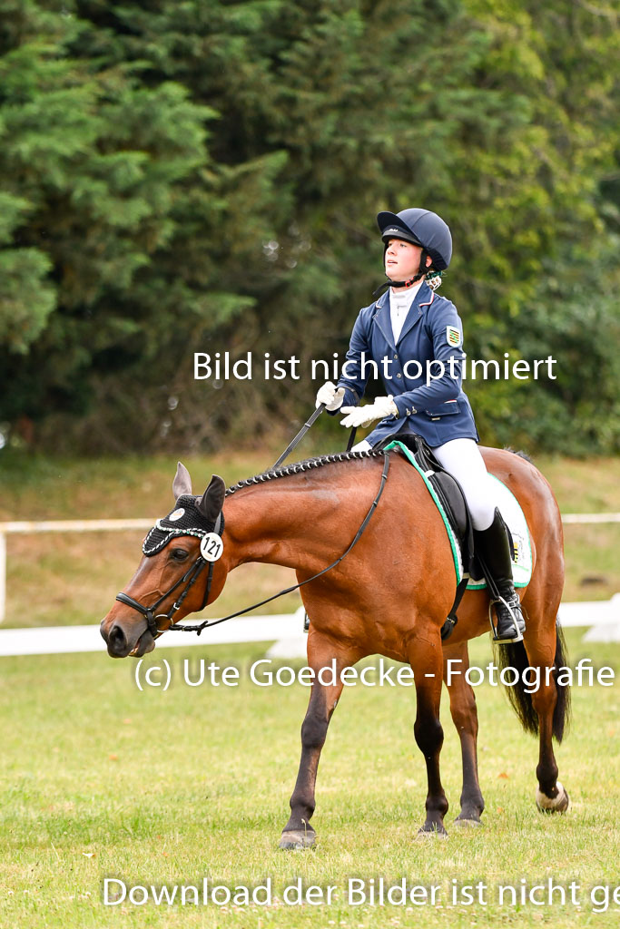 Goldene Schärpe Ponys in Hohenberg Krusemark 2024 | 12072024 Dressur _0212