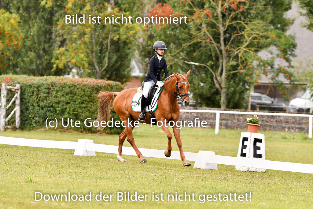 Goldene Schärpe Ponys in Hohenberg Krusemark 2024 | 12072024 Dressur _0213 