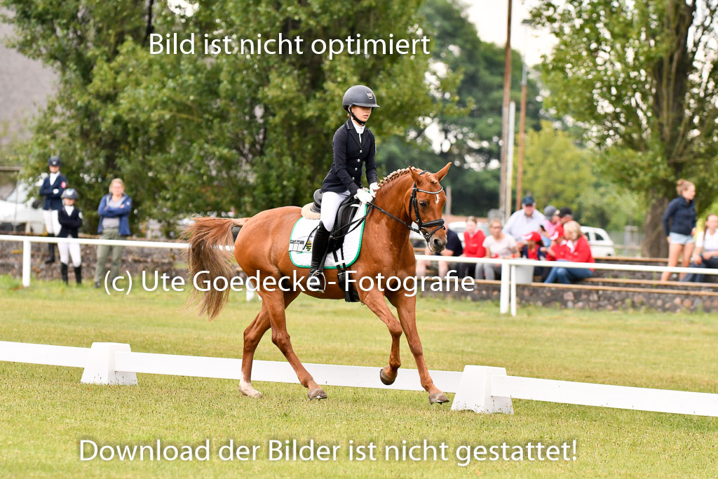 Goldene Schärpe Ponys in Hohenberg Krusemark 2024 | 12072024 Dressur _0215