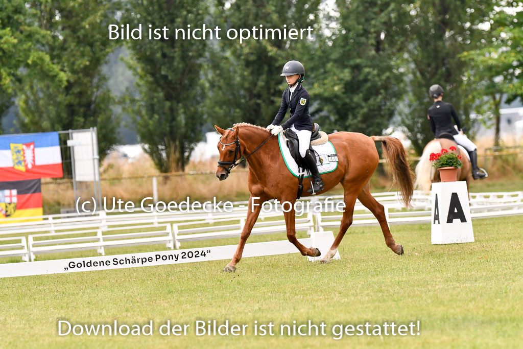Goldene Schärpe Ponys in Hohenberg Krusemark 2024 | 12072024 Dressur _0217