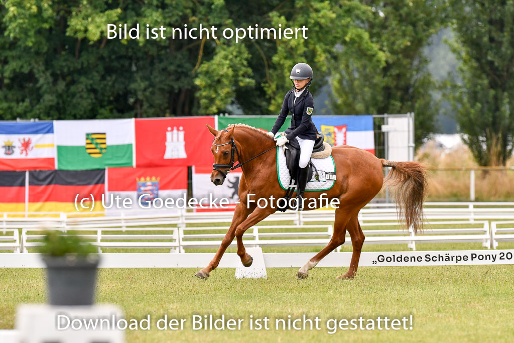 Goldene Schärpe Ponys in Hohenberg Krusemark 2024 | 12072024 Dressur _0218 