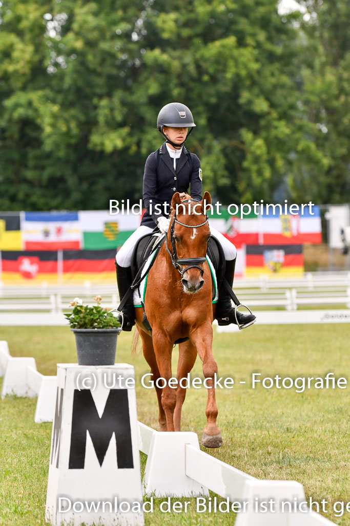 Goldene Schärpe Ponys in Hohenberg Krusemark 2024 | 12072024 Dressur _0219 