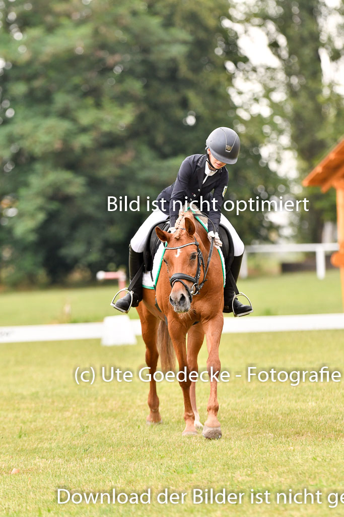 Goldene Schärpe Ponys in Hohenberg Krusemark 2024 | 12072024 Dressur _0220 