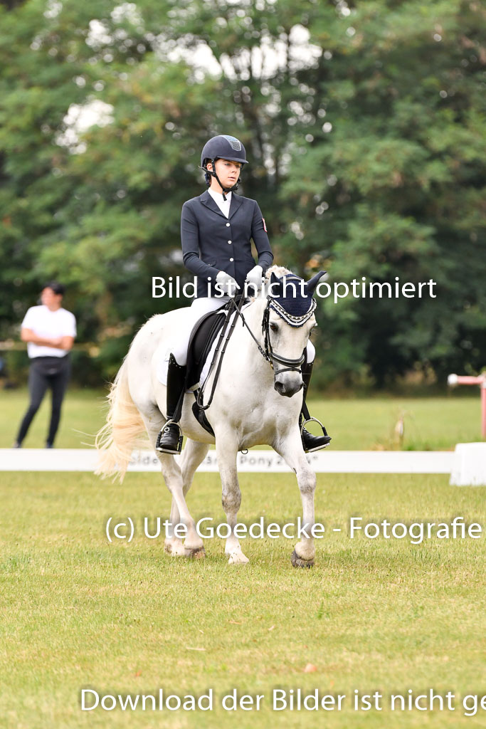 Goldene Schärpe Ponys in Hohenberg Krusemark 2024 | 12072024 Dressur _0223 