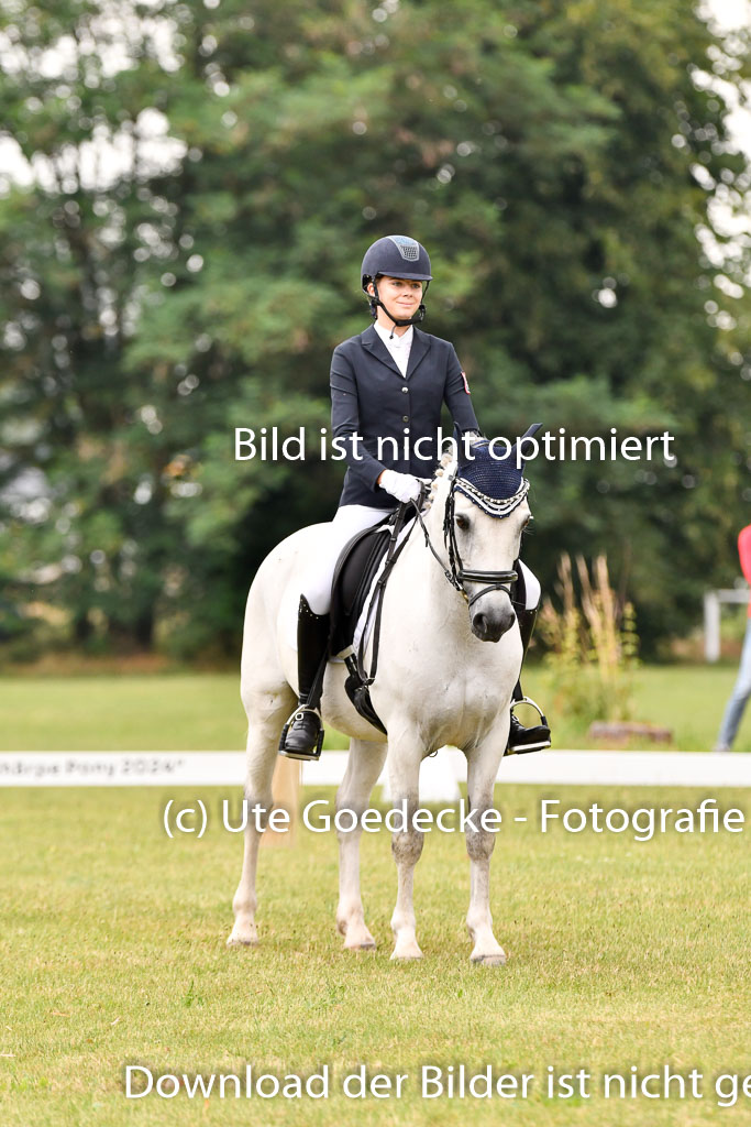 Goldene Schärpe Ponys in Hohenberg Krusemark 2024 | 12072024 Dressur _0224