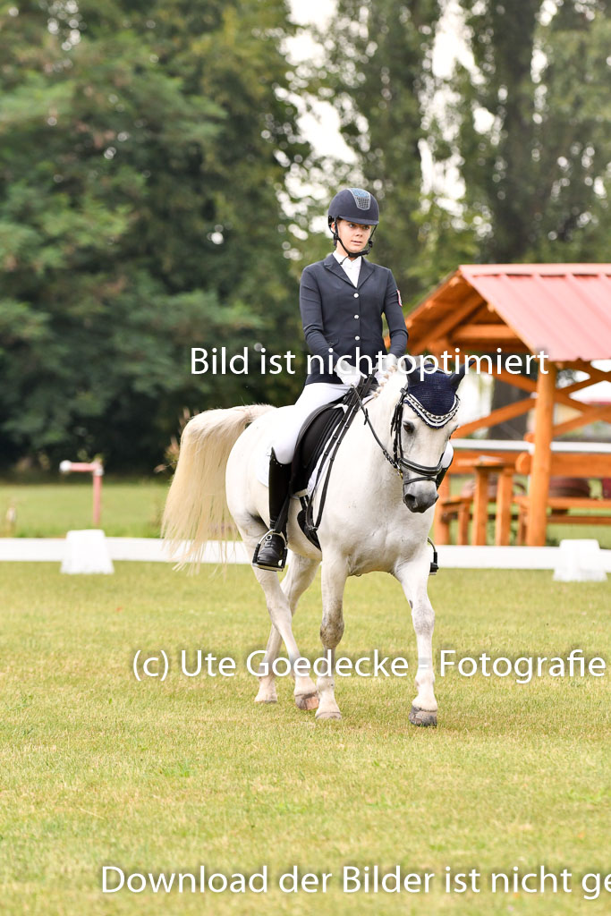 Goldene Schärpe Ponys in Hohenberg Krusemark 2024 | 12072024 Dressur _0225 