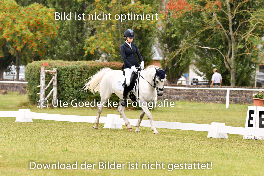 Goldene Schärpe Ponys in Hohenberg Krusemark 2024 | 12072024 Dressur _0228 