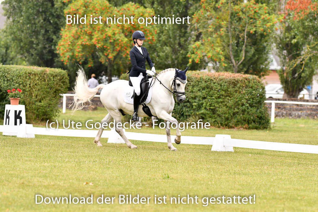 Goldene Schärpe Ponys in Hohenberg Krusemark 2024 | 12072024 Dressur _0229 