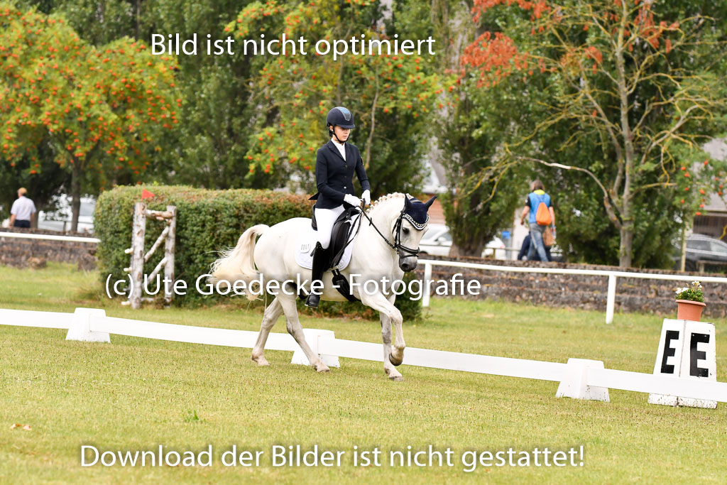 Goldene Schärpe Ponys in Hohenberg Krusemark 2024 | 12072024 Dressur _0230 