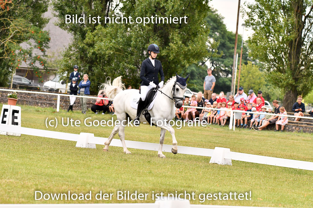 Goldene Schärpe Ponys in Hohenberg Krusemark 2024 | 12072024 Dressur _0231 