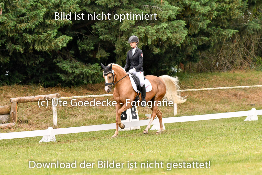 Goldene Schärpe Ponys in Hohenberg Krusemark 2024 | 12072024 Dressur _0234 