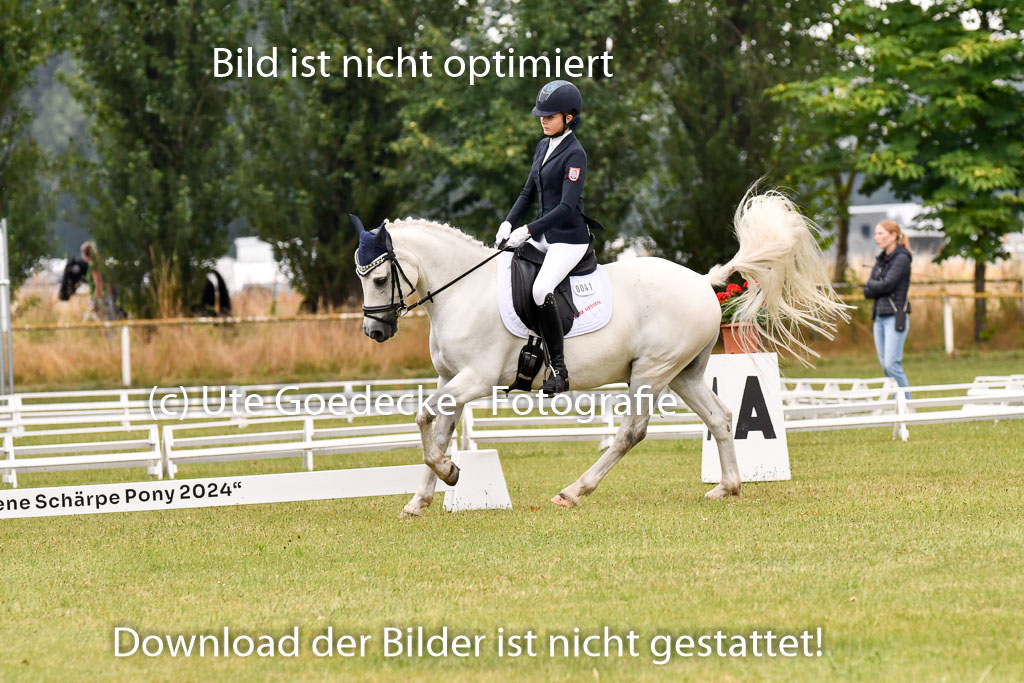 Goldene Schärpe Ponys in Hohenberg Krusemark 2024 | 12072024 Dressur _0236 