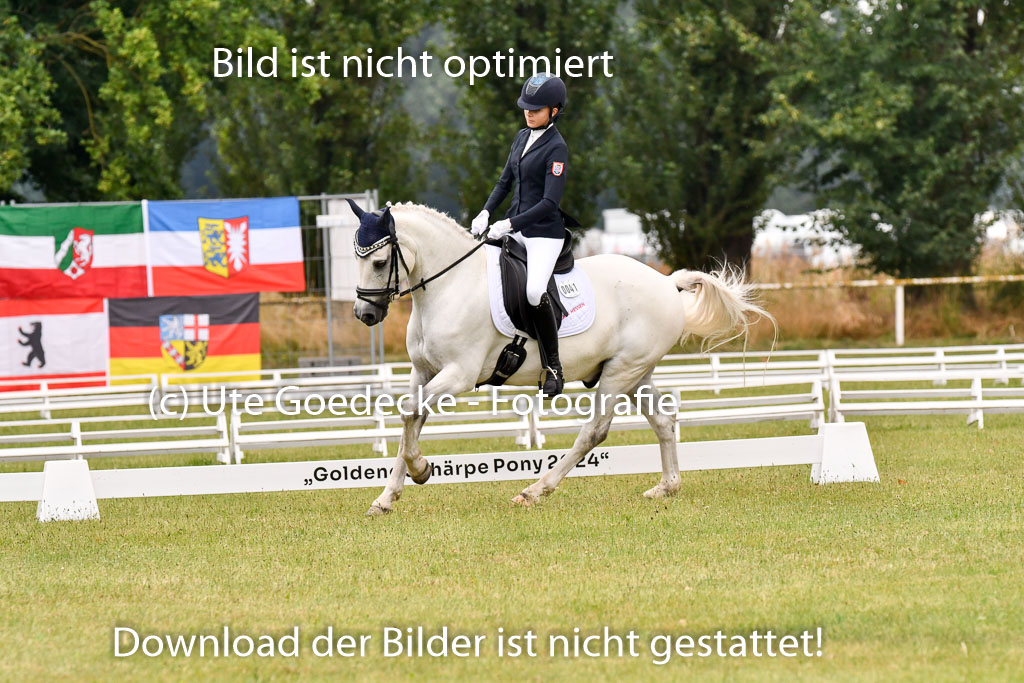 Goldene Schärpe Ponys in Hohenberg Krusemark 2024 | 12072024 Dressur _0237 