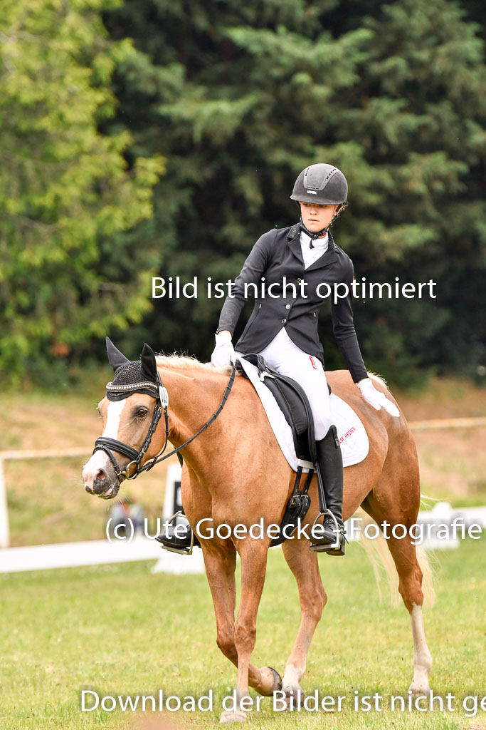 Goldene Schärpe Ponys in Hohenberg Krusemark 2024 | 12072024 Dressur _0238 