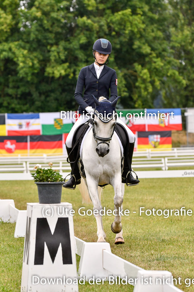 Goldene Schärpe Ponys in Hohenberg Krusemark 2024 | 12072024 Dressur _0239 