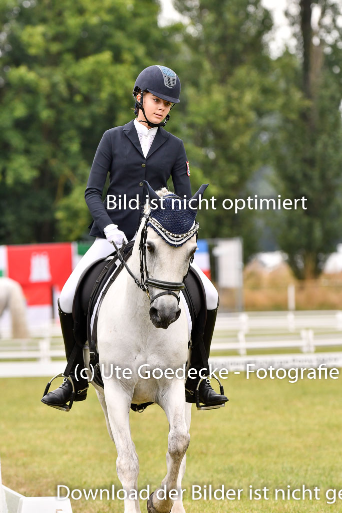 Goldene Schärpe Ponys in Hohenberg Krusemark 2024 | 12072024 Dressur _0240
