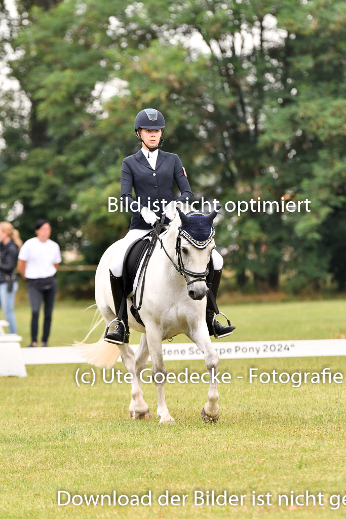 Goldene Schärpe Ponys in Hohenberg Krusemark 2024 | 12072024 Dressur _0241 