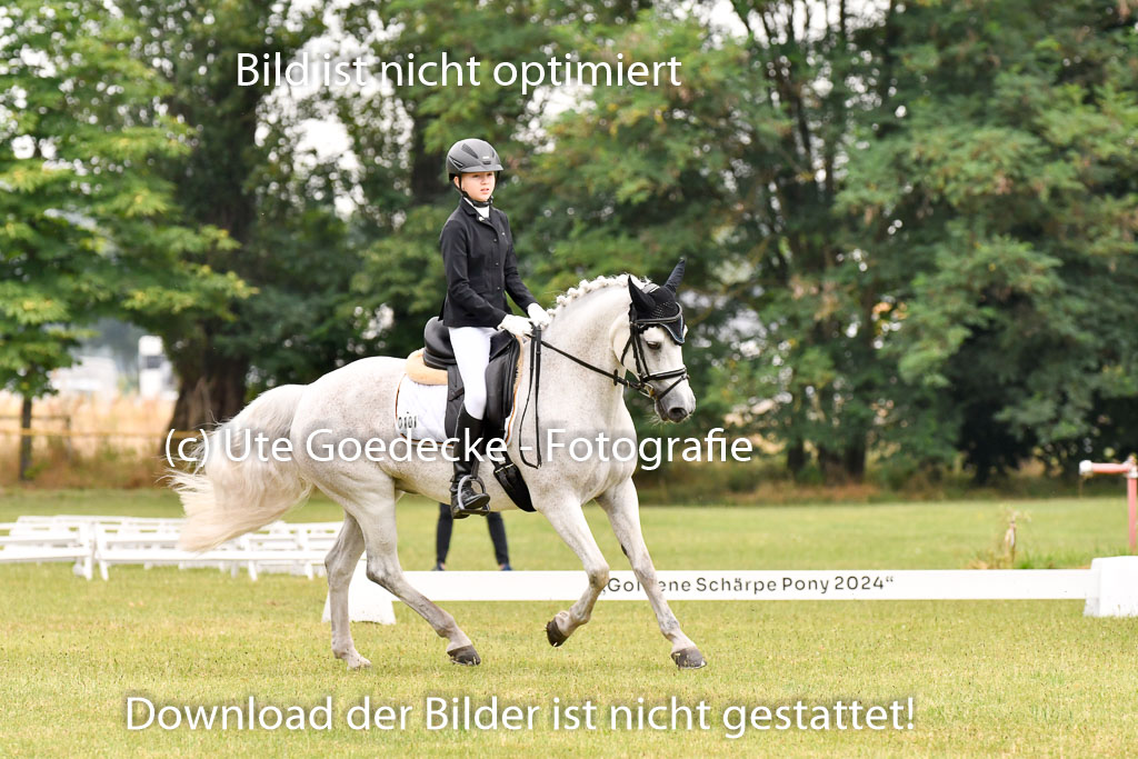 Goldene Schärpe Ponys in Hohenberg Krusemark 2024 | 12072024 Dressur _0243 