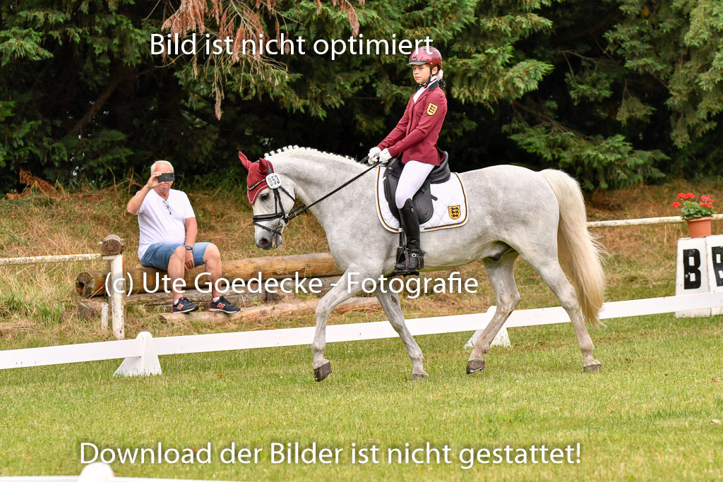 Goldene Schärpe Ponys in Hohenberg Krusemark 2024 | 12072024 Dressur _0246