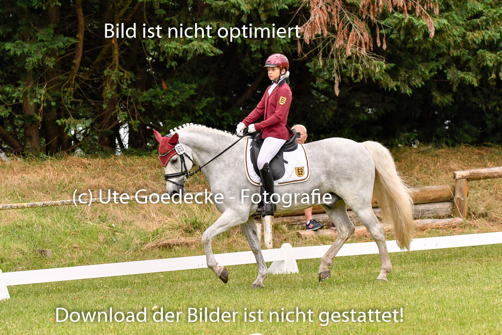 Goldene Schärpe Ponys in Hohenberg Krusemark 2024 | 12072024 Dressur _0247 