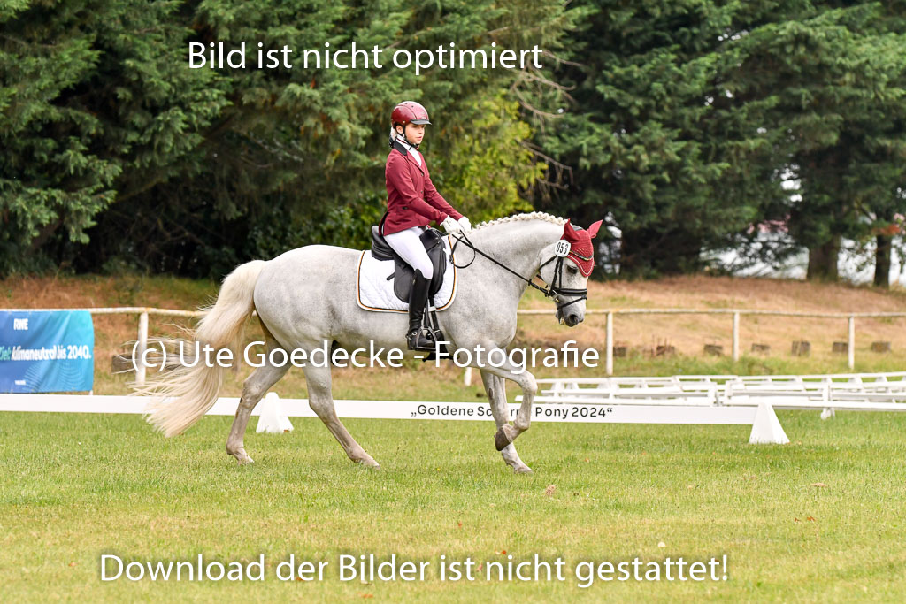 Goldene Schärpe Ponys in Hohenberg Krusemark 2024 | 12072024 Dressur _0249 