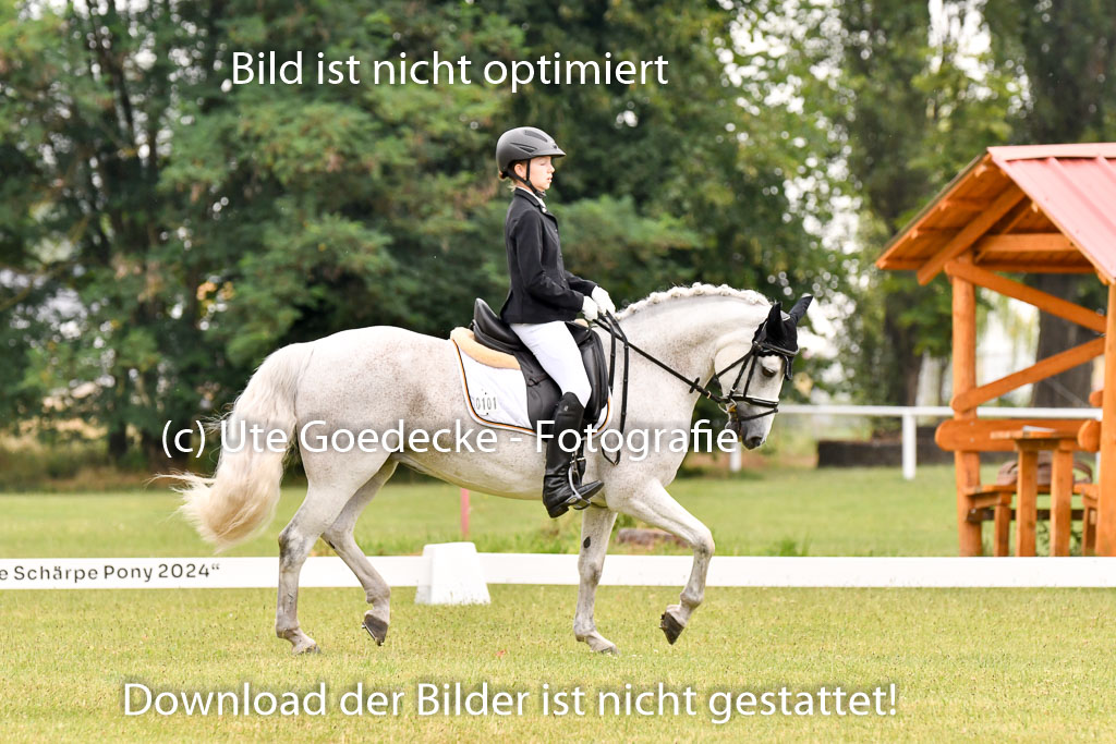 Goldene Schärpe Ponys in Hohenberg Krusemark 2024 | 12072024 Dressur _0250 