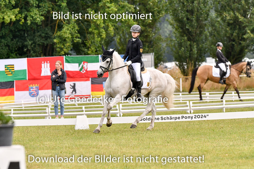 Goldene Schärpe Ponys in Hohenberg Krusemark 2024 | 12072024 Dressur _0254 