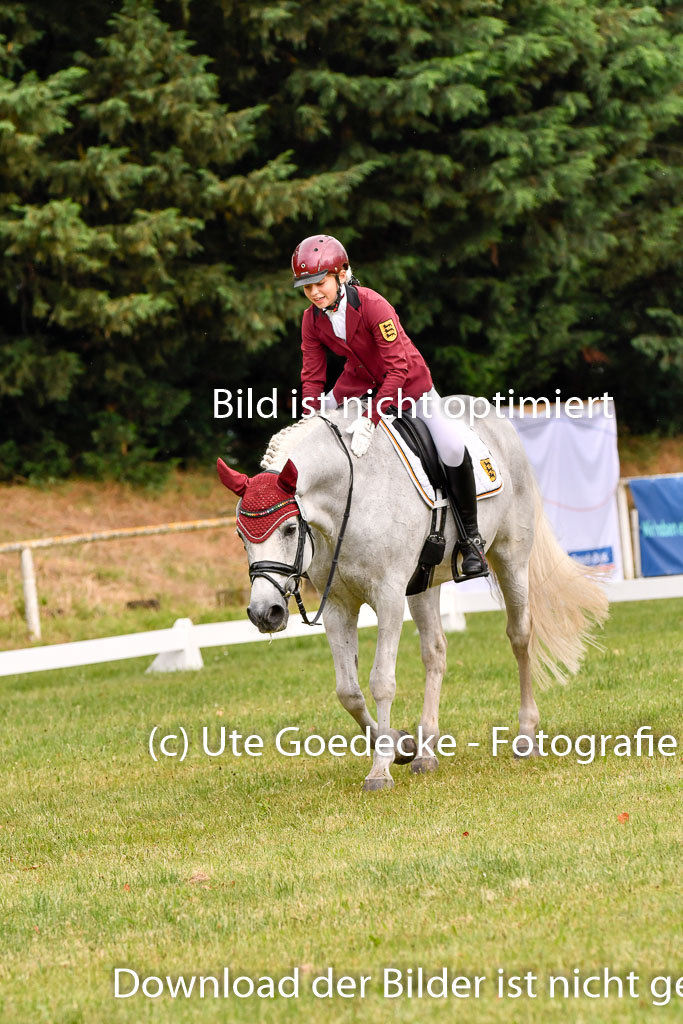 Goldene Schärpe Ponys in Hohenberg Krusemark 2024 | 12072024 Dressur _0256 