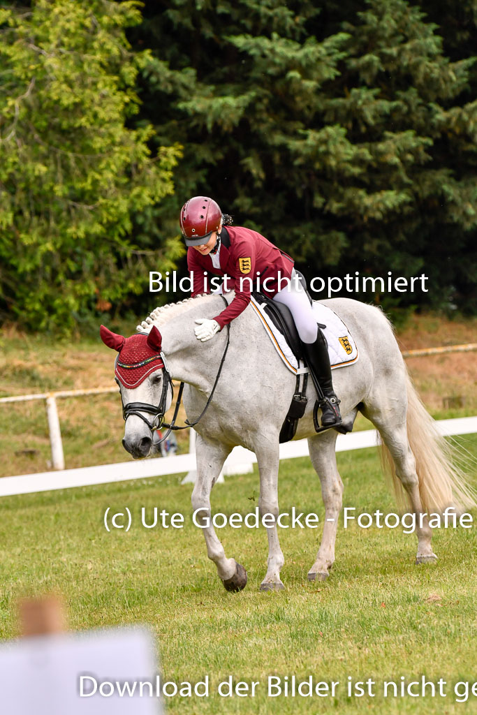 Goldene Schärpe Ponys in Hohenberg Krusemark 2024 | 12072024 Dressur _0257