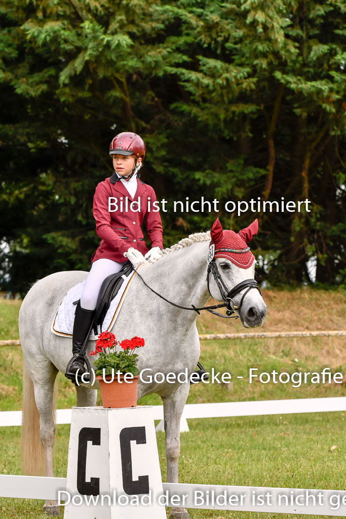 Goldene Schärpe Ponys in Hohenberg Krusemark 2024 | 12072024 Dressur _0259 