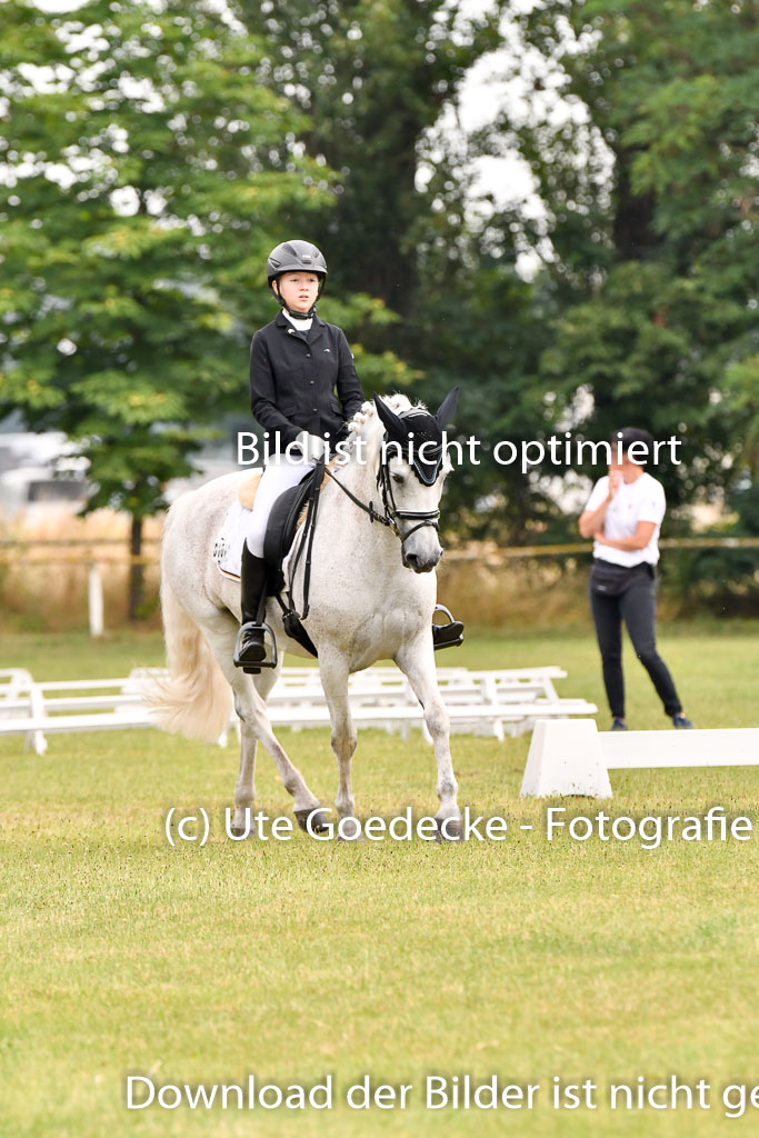 Goldene Schärpe Ponys in Hohenberg Krusemark 2024 | 12072024 Dressur _0260 