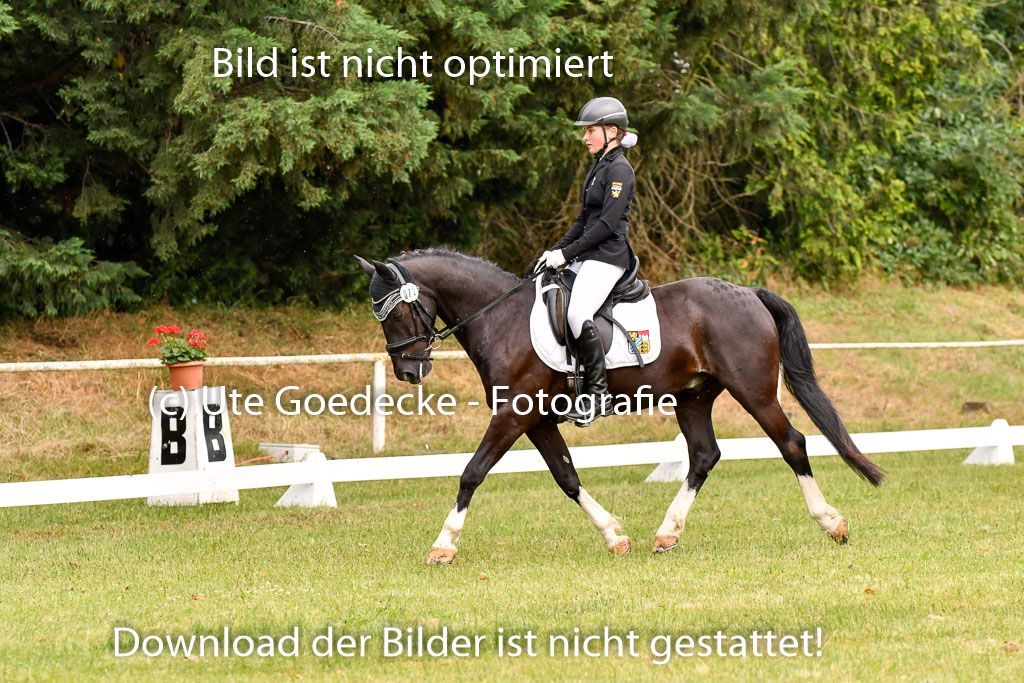 Goldene Schärpe Ponys in Hohenberg Krusemark 2024 | 12072024 Dressur _0263
