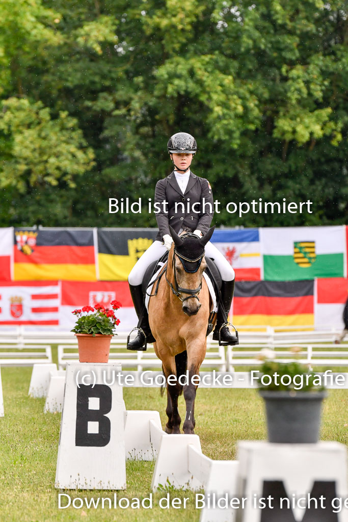 Goldene Schärpe Ponys in Hohenberg Krusemark 2024 | 12072024 Dressur _0264